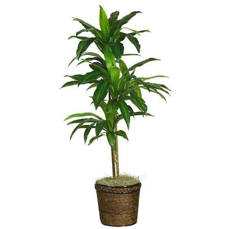 Dare2Decor 48 Inch Dracaena with Basket Silk Plant Real Touch DA103120
