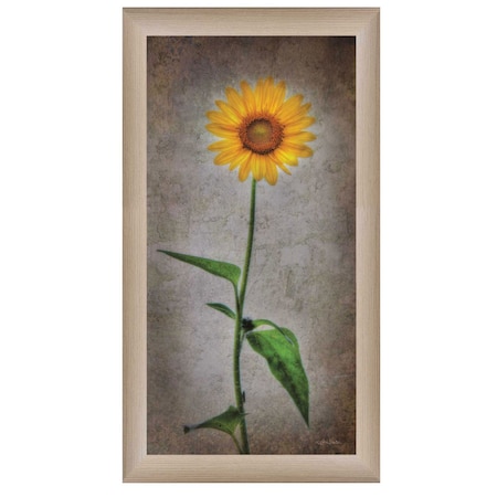 Homeroots Sunflower I Brown Framed Print Wall Art 405046