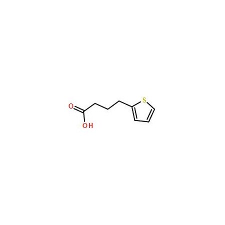 Ak Scientific 4-(2-Thienyl)butyric acid (5g), CAS 4653-11-6 Z5528-5g