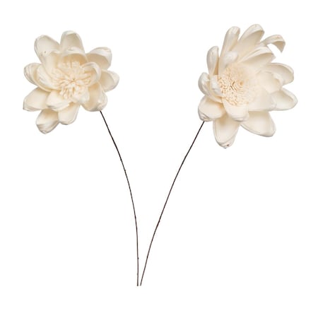 Dare2Decor 4 in. Crocus Sola Flower On Stem Artificial Flower, Natural, 12 in., 12PK DA3248715