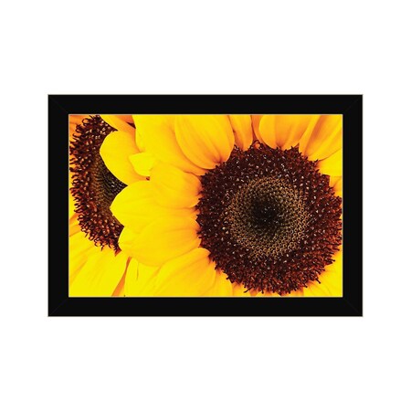 Homeroots Sunflower Portrait Black Framed Print Wall Art 529968