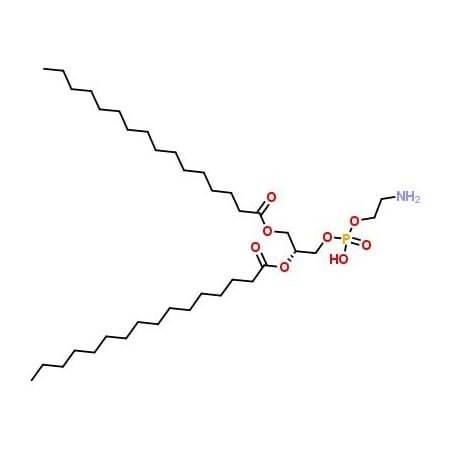 Ak Scientific 1, 2-Dipalmitoyl-sn-glycero-3-phosphoethanolamine (250mg), CAS 923-61-5 B631-250mg