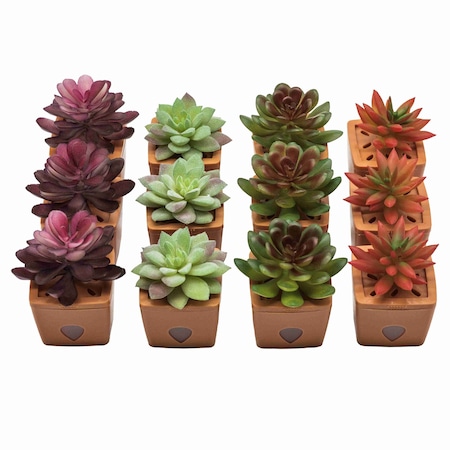 Jt Eaton ZendoZones Fruit Fly Traps, 12 Assorted with Terracotta Base 1820B-HALEN