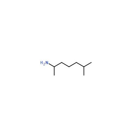 Ak Scientific 2-Amino-6-methylheptane (5g), CAS 543-82-8 Z3685-5g