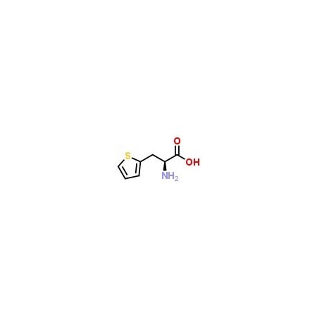Ak Scientific 3-(2-Thienyl)-L-alanine (5g), CAS 22951-96-8 E439-5g
