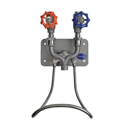 Strahman Washdown Equipment M-750TG, Stainless, Wall-Mounted, Globe Valve Top Entry, Temperature Gauge M750TWGSS