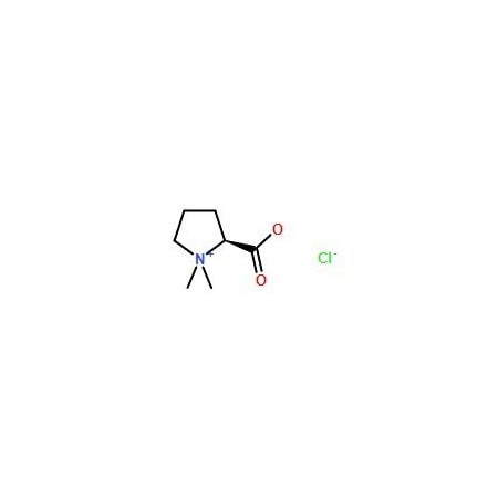 Ak Scientific Stachydrine HCl (1g), CAS 4136-37-2 Q257-1g