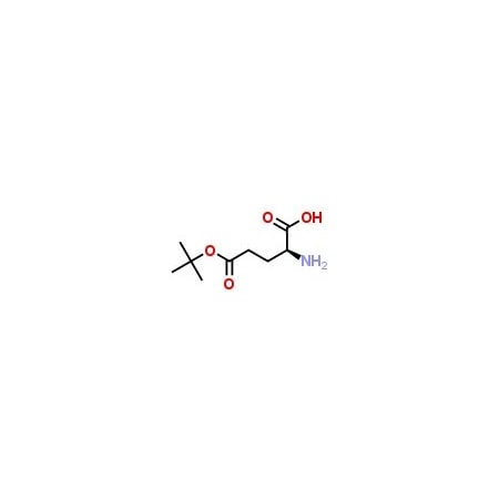 Ak Scientific L-Glutamic acid 5-tert-butyl ester (25g), CAS 2419-56-9 E474-25g