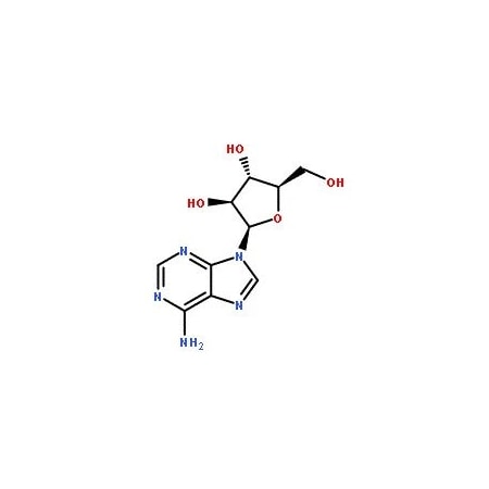 Ak Scientific Vidarabine (5g), CAS 5536-17-4 H945-5g