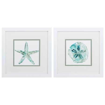 Homeroots 11" X 11" Matte White Frame Sandstar, Set Of 2, 2PK 365193