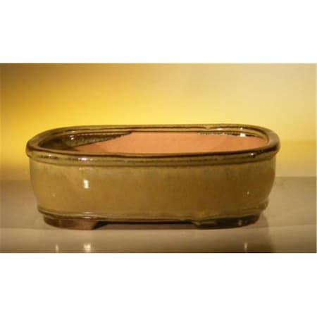 Paisaje 10 x 8 x 3.125 in. Ceramic Bonsai Pot, Olive Green - Rectangle PA2805831