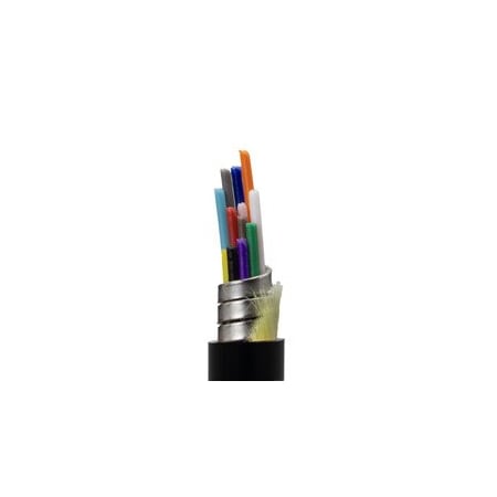 Cable Wholesale Armored Plenum 12 Strand Indoor/Outdoor Fiber Optic Distribution Cable, OM1 62.5/125 21F3-212NF