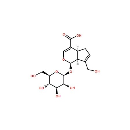 Ak Scientific Geniposidic acid (5mg), CAS 27741-01-1 Q252-5mg