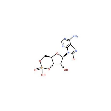 Ak Scientific 8-Br-cAMP (25mg), CAS 23583-48-4 8310AJ-25mg
