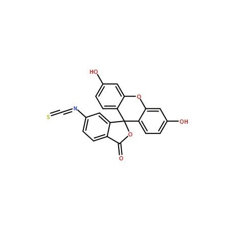 Ak Scientific 6-FITC (1g), CAS 18861-78-4 3678AH-1g