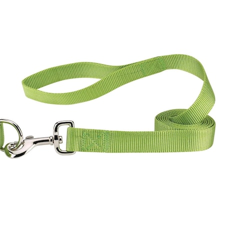 Casual Canine 6 ft. x 1 in. Nylon Dog Leash Lead, Light Green ZM2392 66 70
