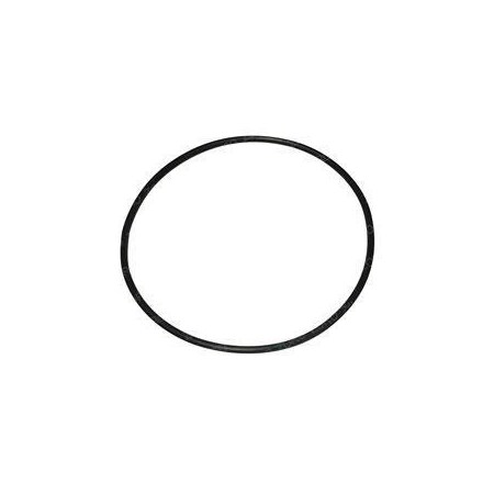 Crown REPLACEMENT O-RING 805117
