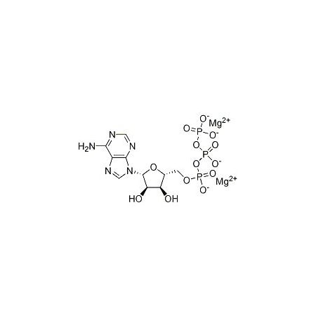 Ak Scientific Adenosine-5'-triphosphate magnesium salt (1g), CAS 74804-12-9 L924-1g
