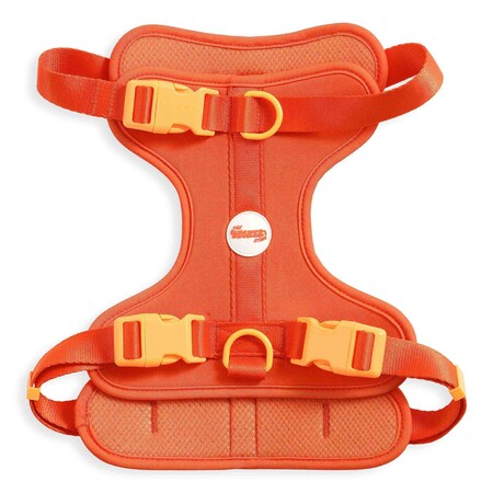 The Licker Store Arlo Large Adjustable Soft Padded No Pull Pet Harness with 3 Buckles and 3 Leash Clips, Aperol HNS1003A