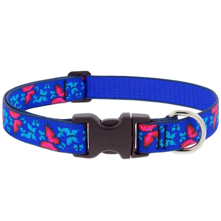 Lupinepet Blue/Pink Social Butterfly Nylon Dog Adjustable Collar Large 54053
