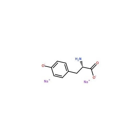 Ak Scientific L-Tyrosine disodium salt (5g), CAS 69847-45-6 7351AH-5g