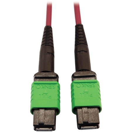 Eaton Tripp Lite Series 400G Multimode 50/125 OM4 Plenum-Rated Fiber Optic Cable, 16F N846D-03M-16AMG