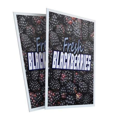 Signmission Fresh Blackberries, Plastic Signs Only 24 Inch x 36 Inch, Corrugated Plastic, 2PK CSB-2436-2PACK-Fresh Blackberries