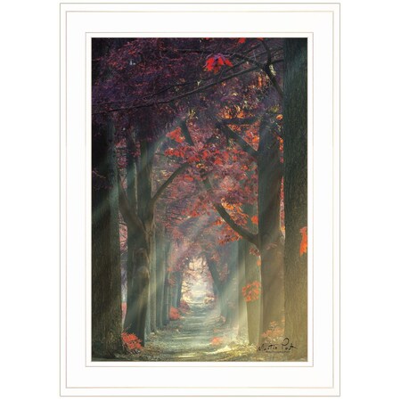 Homeroots Path of Happiness 1 White Framed Print Wall Art 405487