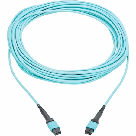 Eaton TRIPP LITE SERIES 100G MULTIMODE 50/125 OM4 FIBER OPTIC CABLE (12F MPO/MPO N845A-10M-12TAA