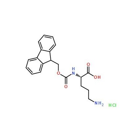 Ak Scientific Fmoc-L-Orn-OH·HCl (1g), CAS 201046-57-3 0322AB-1g