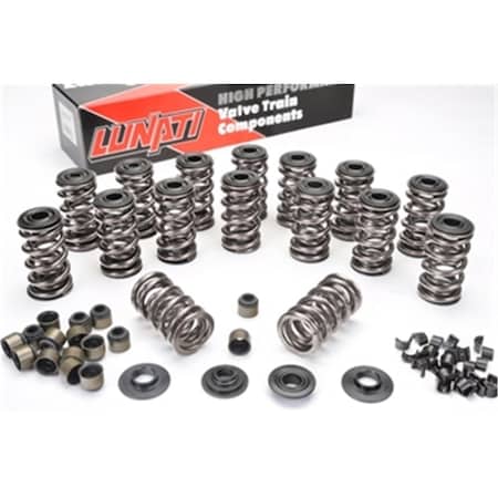 Fiesta 1306 Valve Spring Kit FI3640780