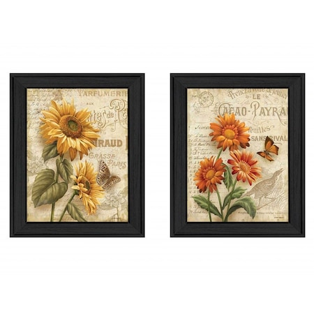 Set Of Two Flowers 2 Black Framed Print Wall Art, 2PK