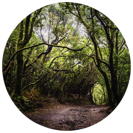 Tickit Forest Discovery Play Mat 73562