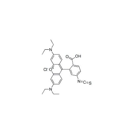 Ak Scientific Rhodamine B isothiocyanate (mixture of isomers), suitable for protein labelling (100mg), CAS 36877- M879-100mg