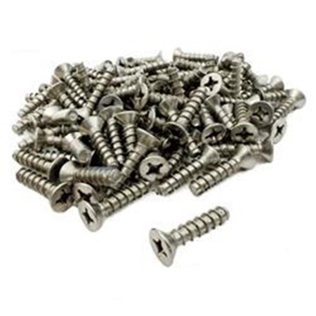 Bnb-Pt Stainless Steel Skimmer Screws, 100PK APCSKIM