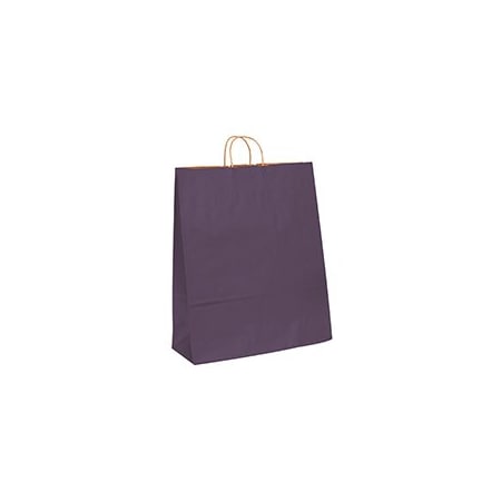 Bubblefast 200-16 x 6 x 19 1/4'' Purple Tinted Shopping Bags, 200PK BFBGS1119PU