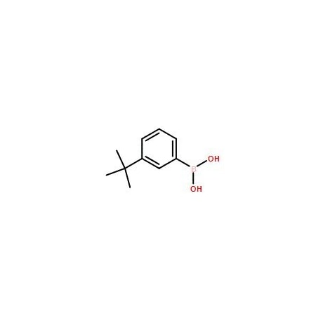 Ak Scientific 3-tert-Butylphenylboronic acid (10g), CAS 560132-24-3 X0888-10g