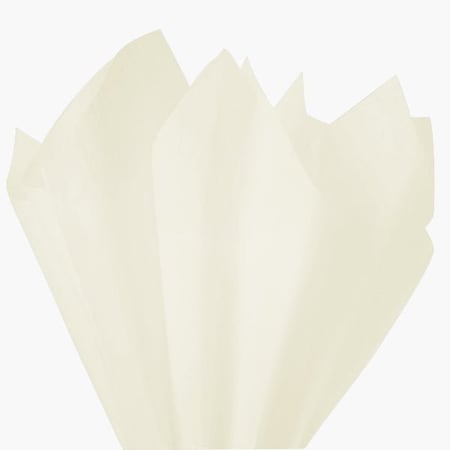Nashville Wraps Birch Color Tissue Paper, 20x30, 24 Soft Fold Sheets, 24PK CTQBI