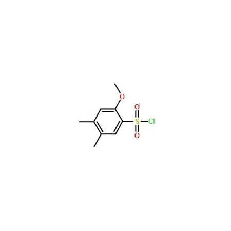 Ak Scientific 2-Methoxy-4, 5-dimethyl-benzenesulfonyl chloride (25g), CAS 90416-52-7 2732AF-25g