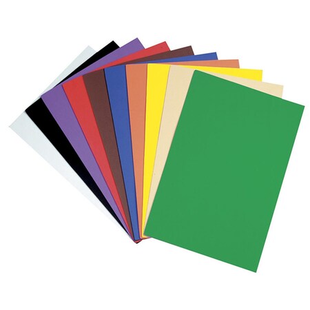 Pacon Pacon Creativity Street Wonderfoam Sheets 10 Colors, 12 x 18 in., 2PK CK-4313-2