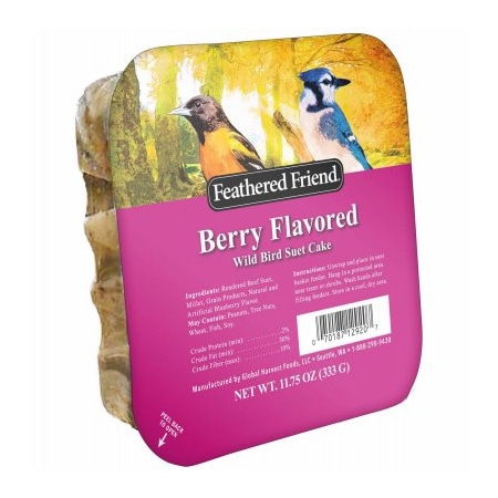 Global Harvest Foods Berry Suet 14374