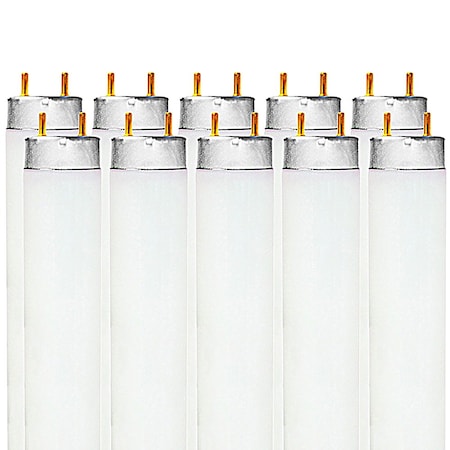 Luxrite F17T8/865 17W 24 Inch T8 Fluorescent Tube Light Bulb, 6500K Daylight, 1350 Lumens, G13, 10PK LR20755