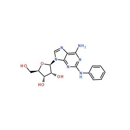 Ak Scientific 2-Phenylaminoadenosine (10mg), CAS 53296-10-9 7561AB-10mg