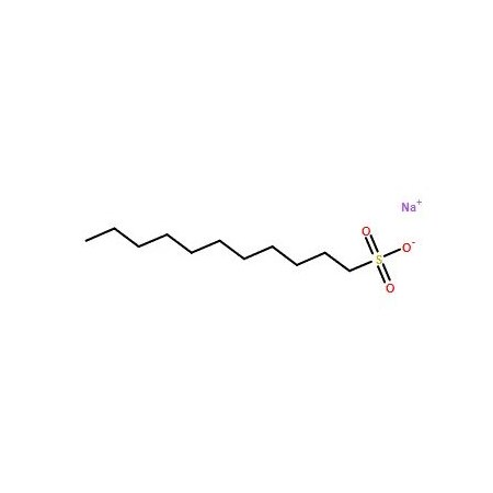 Ak Scientific Sodium 1-undecanesulfonate (5g), CAS 5838-34-6 8969AL-5g