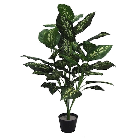 Vickerman Dieffenbachia Plant X5 Everyday Tree - 36 in. TP170036