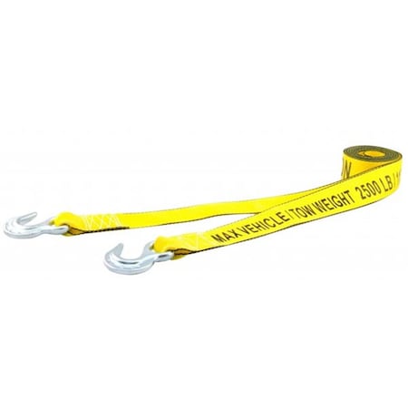Erickson Manufacturing 01002 2 in. x 15 ft. 5000 lbs Tow Strap 360200257