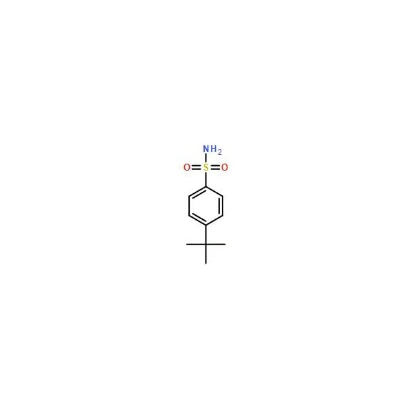Ak Scientific 4-tert-Butylbenzenesulphonamide (5g), CAS 6292-59-7 W7489-5g - main