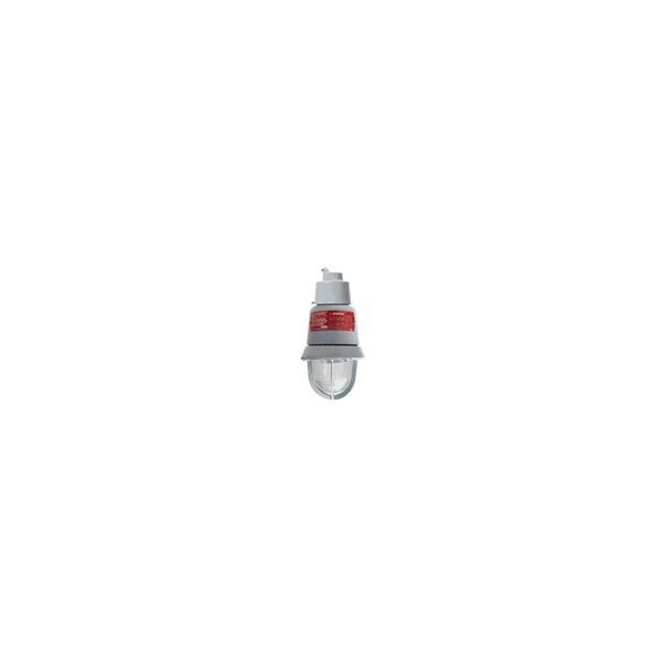 Edwards Signaling Genesis Explosion Proof Strobe 116DEXMSTR-FJ - main