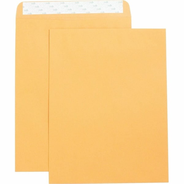 Business Source Filing Envelope, Brown, Kraft, PK2 BSN42121 - main