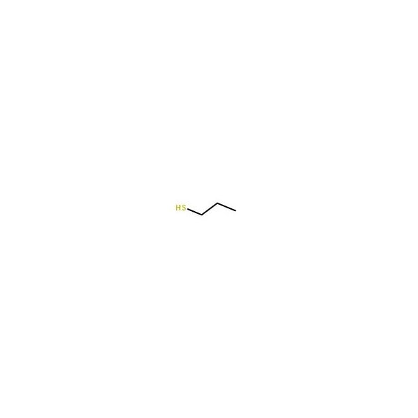 Ak Scientific 1-Propanethiol (100mL), CAS 107-03-9 7738AJ-100mL - main